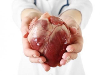 ހިތް- ތިބާގެ ހަށިގަނޑުގައިވާ އެންމެ ނާޒުކު ގުނަވަން