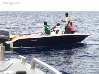ޑިންގީއަށް އެހީތެރިކަން ފޯރުކޮށްދެނީ