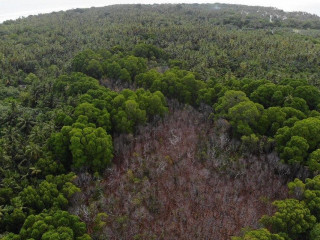 ހދ. ވައިކަރަދޫ