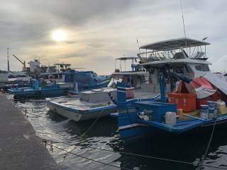 Boats docked at Malé harbor