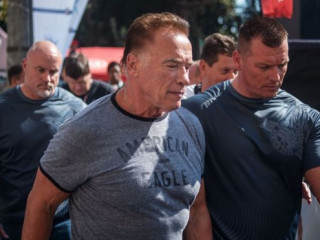 އާނޯލްޑް ޝްވާޒިނޭގަރ