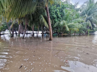 ނަރުދޫއަށް ވަނީ އުދައިގެ އަސަރު ވަރަށް ބޮޑަށް ކޮށްފައި