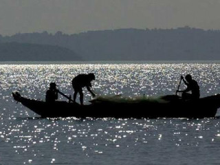 އިންޑިއާ ބަޔަކު މަސްވެރިކަމަށް ނިކުމެ