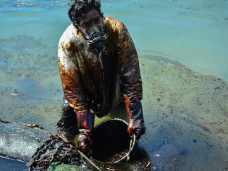 މޮރިޝަސްގެ ފަރަށް ތެޔޮ ބޯޓެއް އުރި، ފަރުތަކާއި ކަނޑުގެ ދިރުންތައް ނުރައްކަލެއްގެ ތެރޭގައި