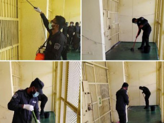 ޑިސްއިންފެކްޓްކުރުން