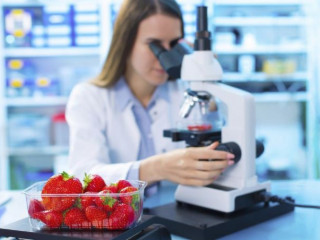 ކާބޯތަކެތި ޓެސްޓް ކުރާ ލެބޯޓްރީއެއް