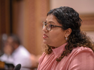 Chair of the Human Rights and Gender Committee, MP Jeehan Mahmood