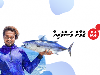 އުރީދޫ މޯލްޑިވްސްގެ ބްރޭންޑް އެމްބެސެޑަރެއްގެ ގޮތުގައި ހަމަޖެއްސި ހަސަން ސާޖިންގެ ޕޯސްޓަރެއް
