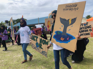 ފެސްޓިވަލްގެ ތެރެއިން
