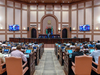 ރައްޔިތުންގެ މަޖިލީހުގެ ޗެމްބަރުގައި މެމްބަރުން