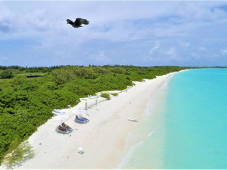 ހއ. ކެލާ ބީޗް ހޯމް، ކެލާގައި ފަތުރުވެރިންނަށް ހާއްސަކޮށްފައިވާ ސަރަޙައްދު