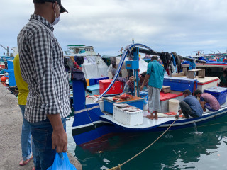 މާލޭގެ މަސްމާރުކޭޓް ސަރަހައްދު: މަސްދޯންޏަކުން މަސްވިއްކަނީ (ފައިލް ފޮޓޯ)