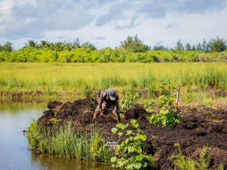 އައްޑޫ ސިޓީ ހުޅުމީދޫގެ މަތިކިޅި