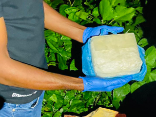 ފެންފުށިން އަތުލައިގަނެވުނު މަސްތުވާތަކެތި