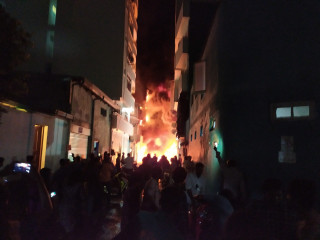 އަލިފާނުގެ ހާދިސާގެ ތެރެއިން