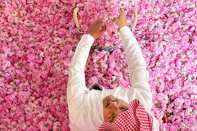 ތާއިފްގެ ދަނޑުތަކުގައި އަހަރެއްގެ މައްޗަށް ގާތްގަނޑަކަށް 300 މިލިއަނެއްހާ ފިނިފެންމާ ފޮޅޭ