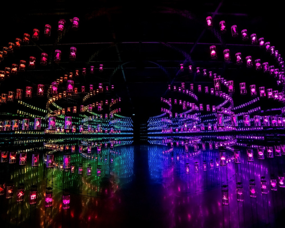 ދުބާއީގެ މިއުޒިއަމް އޮފް ދަ ފިއުޗަރގެ އެތެރެ - ފޮޓޯ: ރޮއިޓަރސް