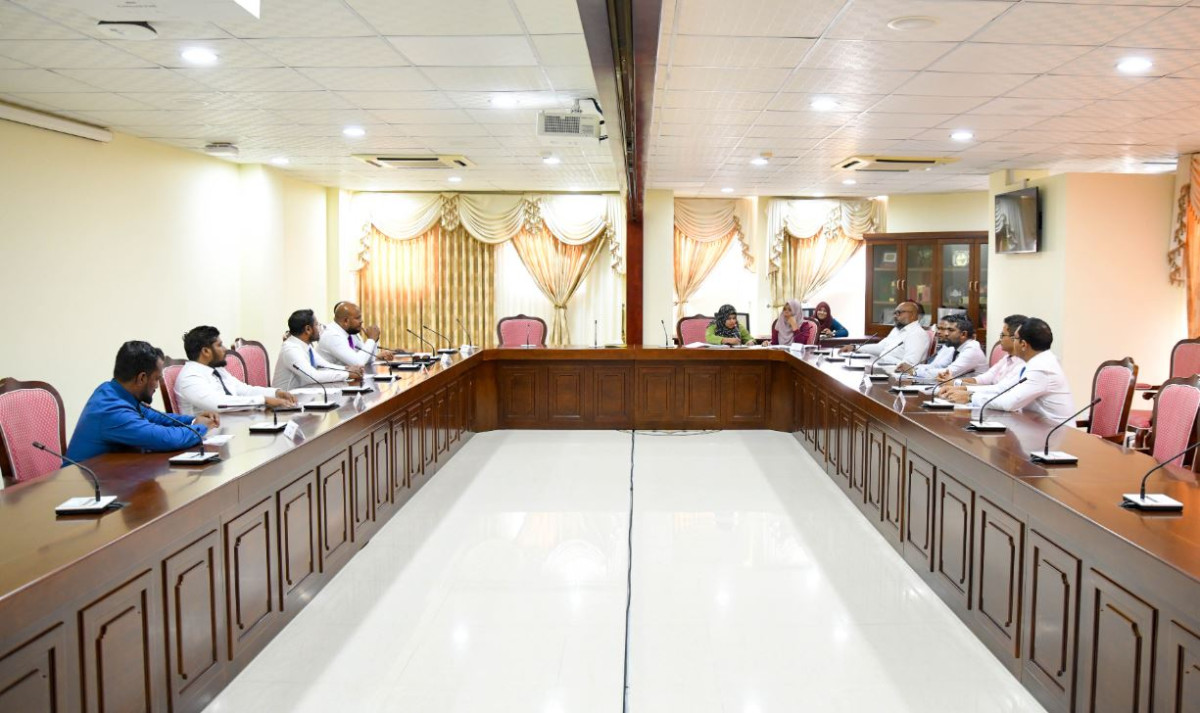 މަޖިލީހުގެ ކޮމިޓީ ބައްދަލުވުމެއްގެ ތެރެއިން