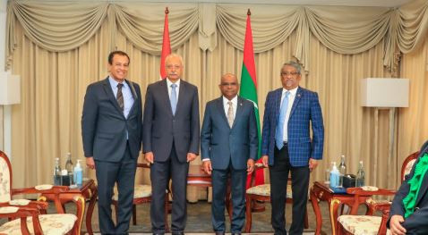 Assistant Minister of Egypt calls on Minister Shahid