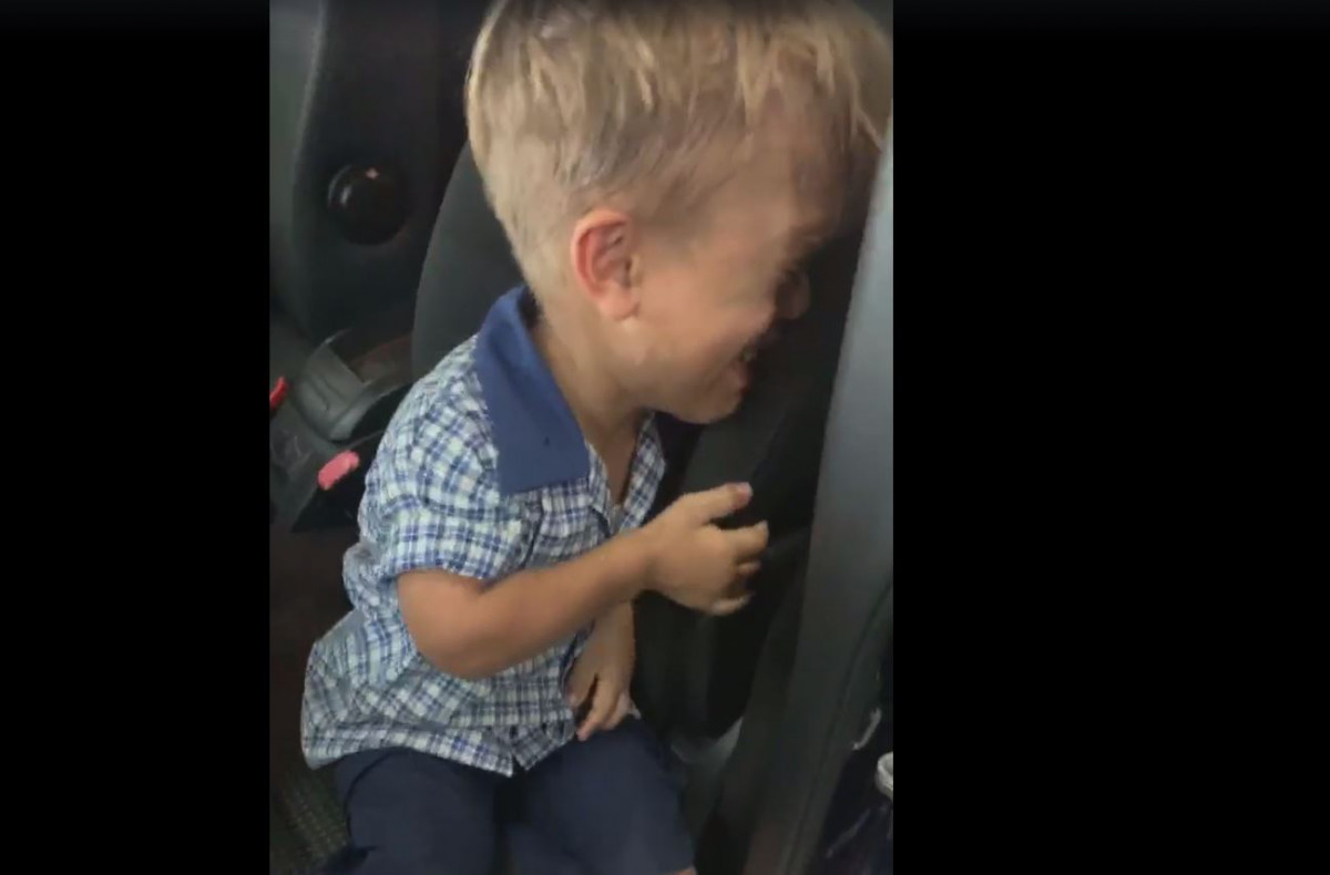 ބުލީގެ ޝިކާރައަކަށް ވި ތުއްތު ކުއްޖާ