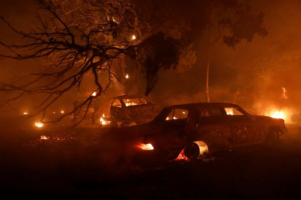 ޔޫރަޕްގެ ޖަންގަލިތަކުގައި އަލިފާން ރޯވެ އަނދަމުންދާތާ ހަފްތާއެއް