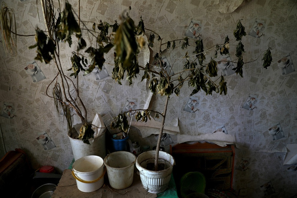 ރަޝިއާގެ ބޮމުގެ ހަމަލާތަކުގައި މަރުވި އިންނާ ބޮބޮރިއެންޓްސެވާގެގޭގައި ހުރި އޭނާގެ ގަސްތައް މަރުވަނީ - ފޮޓޯ: ރޮއިޓަރސް