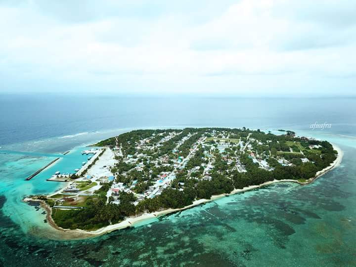 R. Alifushi