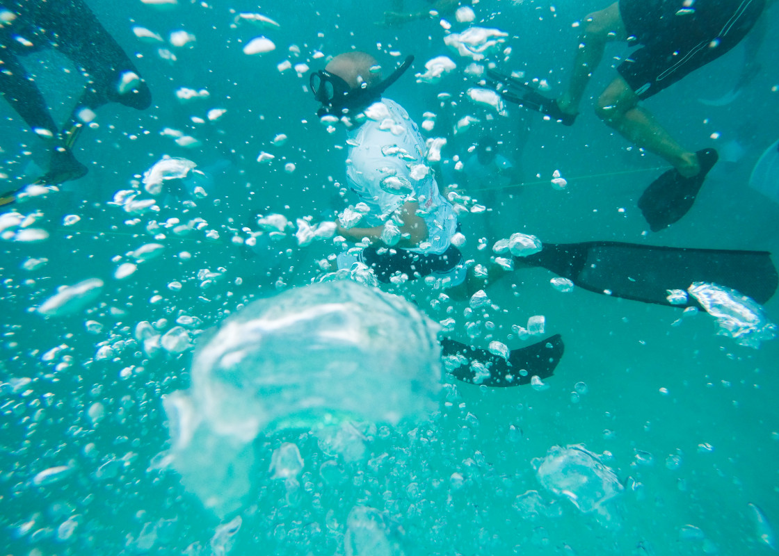 މި ޙަރަކާތުގައި ދުނިޔޭގެ ވަރލްޑް ރިކޯޑް ދެފަހަރަށް ހާސިލުކޮށް، ވަރލްޑް ޗެންޕިއަން ފްރީޑައިވަރގެ މަޤާމު ހާސިލުކޮށްފައިވާ ނިއުޒީލެންޑްގެ ރައްޔިތެއްކަމަށްވާ ވިލިއަމް ޓްރޫބްރިޖް ވެސް ވަނީ ބައިވެރިވެފަ