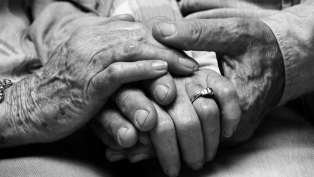 ދަރިންގެ ހަޔާތުގައި މާމަ ކާފައިން އަދާކުރަނީ ވަރަށްވެސް މުހިއްމު ދައުރެއް