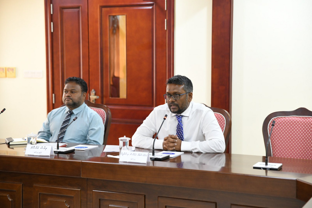 އިކޮނޮމިކް މިނިސްޓަރ ފައްޔާޒު އިސްމާއީލް، 241 ކޮމިޓީގައި ވާހަކަދައްކަވަނީ