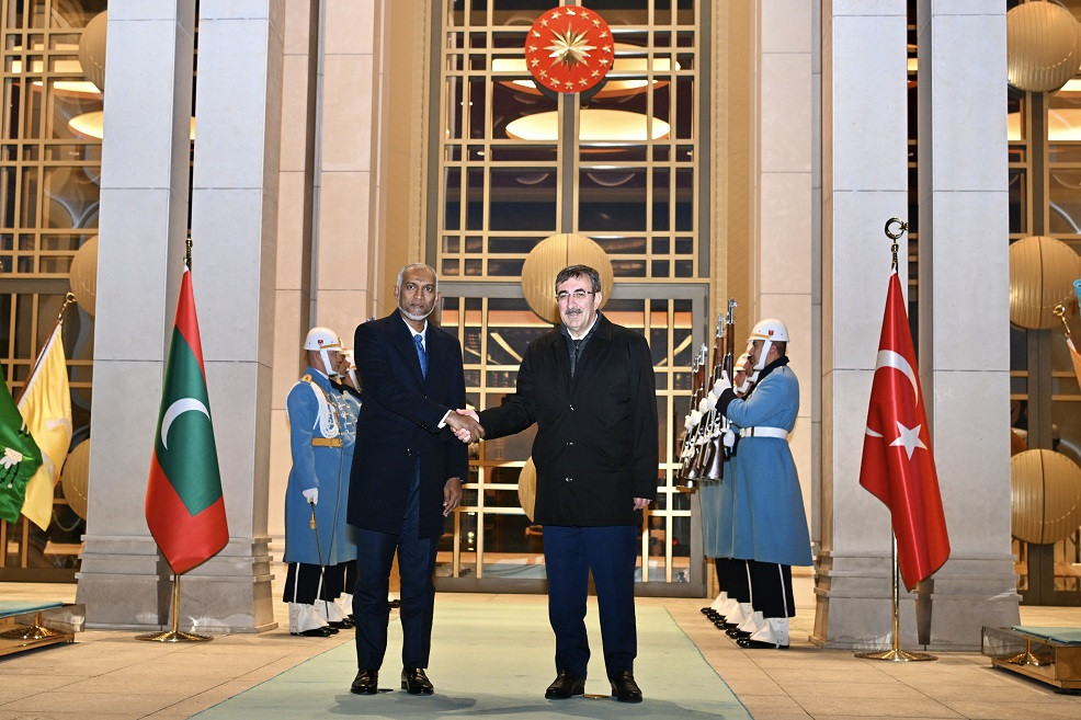 President Muizzu paid a courtesy call on the Vice President of Türkiye on Monday