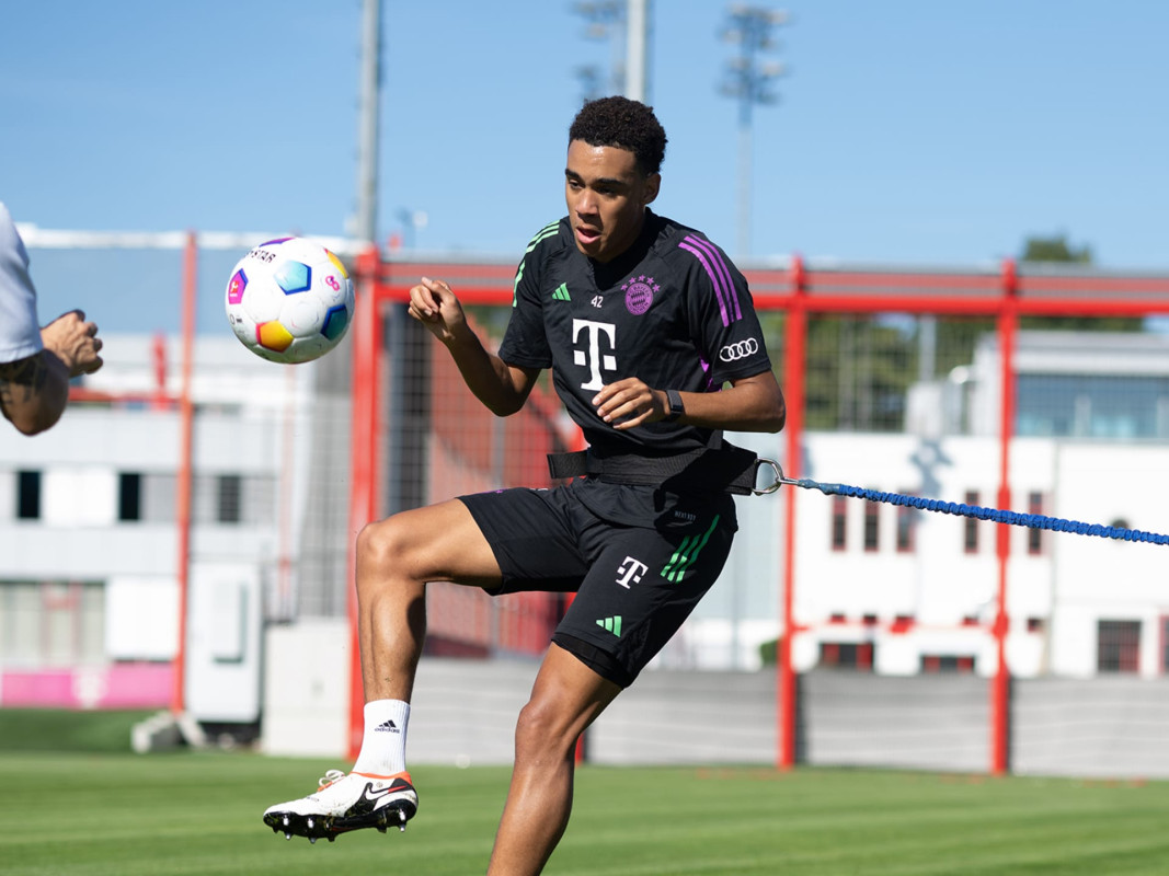 ބަޔާނުން މީގެ ކުރިން ކުރިއަށް ގެންދިޔަ ފަރިތަކުރުމެއްގައި މުސިއާލާ