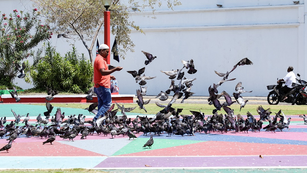 މާލޭގެ އިސްލާމީ މަރުކަޒު ސަރަހައްދު