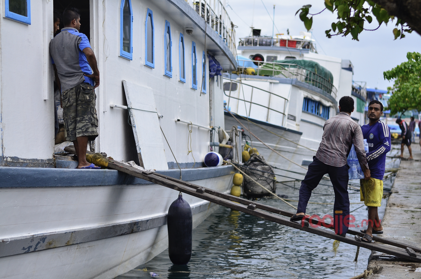 މާލެ ލޯކަލް މާރުކޭޓު ސަރަހައްދު ގައި ވިޔަފާރި ކުރުން 