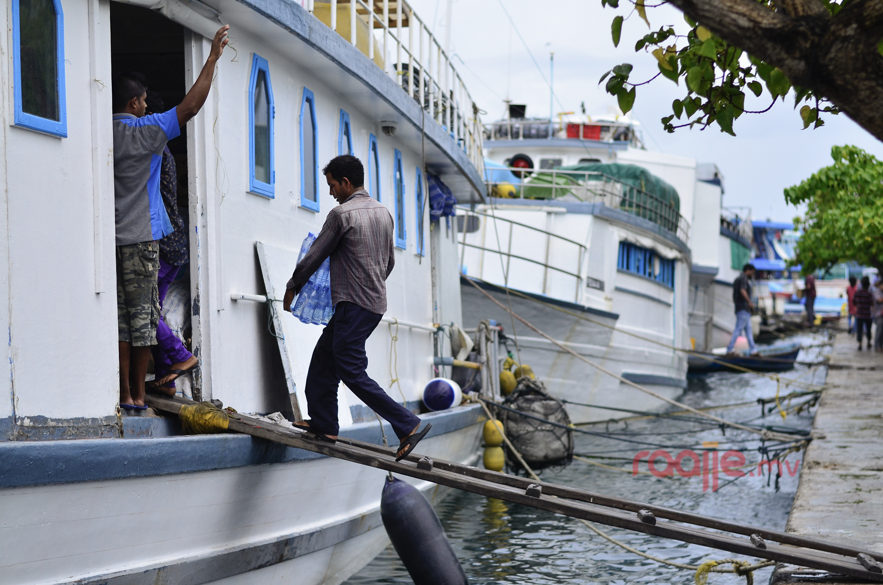 މާލެ ލޯކަލް މާރުކޭޓު ސަރަހައްދު ގައި ވިޔަފާރި ކުރުން 