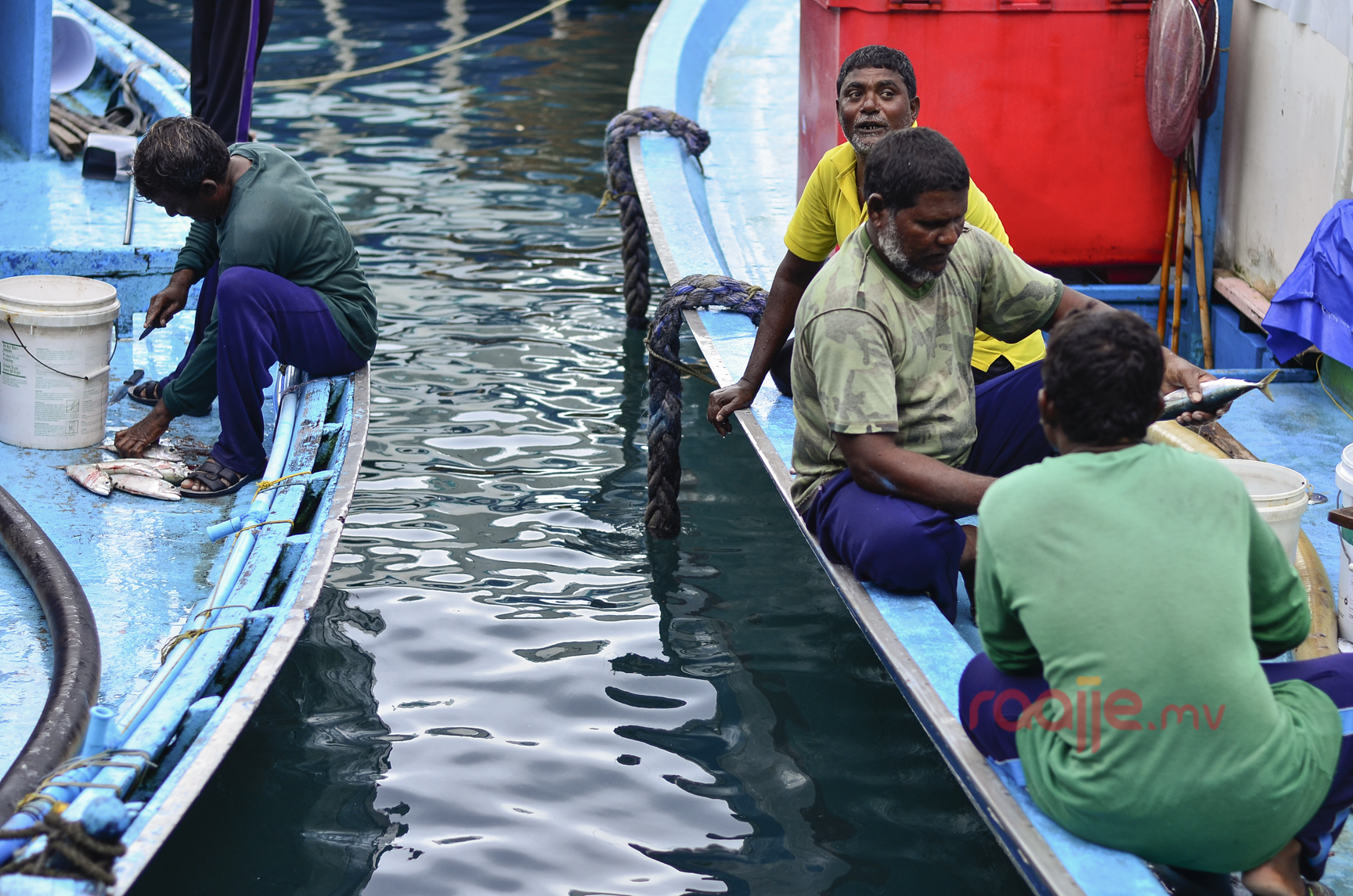 މާލެ ލޯކަލް މާރުކޭޓު ސަރަހައްދު ގައި ވިޔަފާރި ކުރުން 