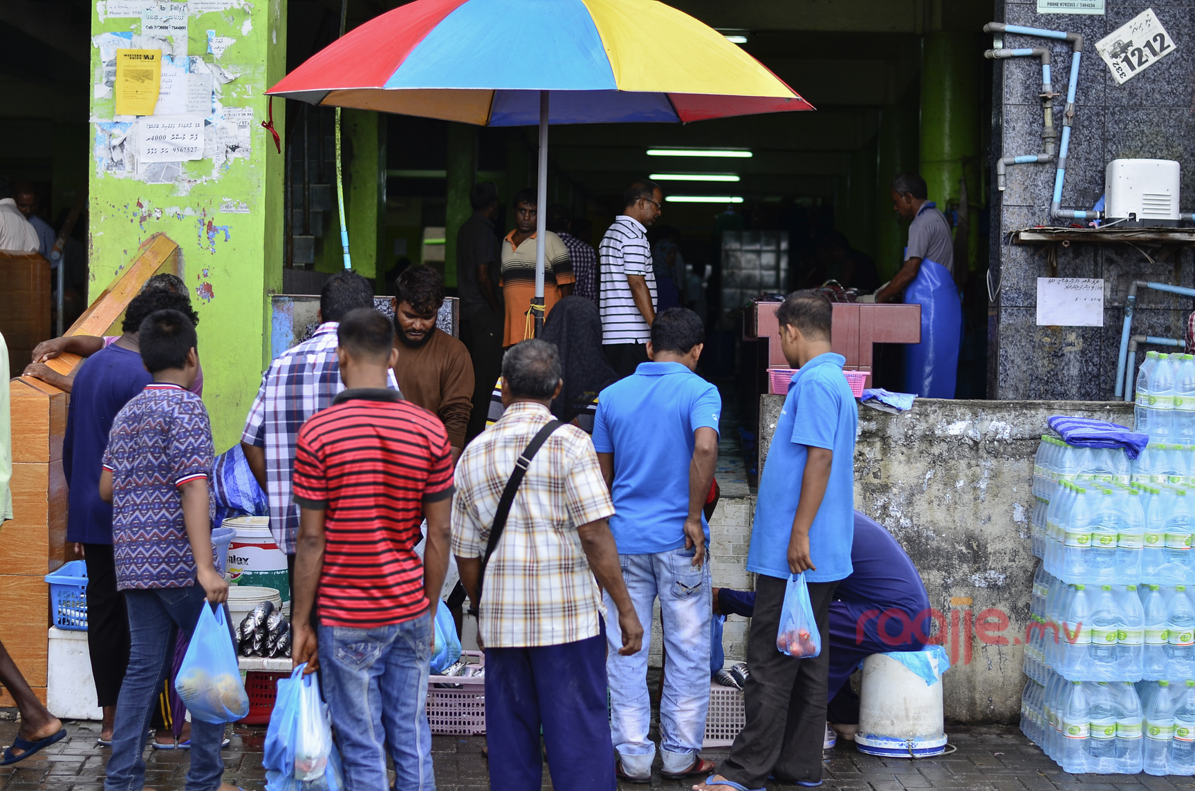 މާލެ ލޯކަލް މާރުކޭޓު ސަރަހައްދު ގައި ވިޔަފާރި ކުރުން 