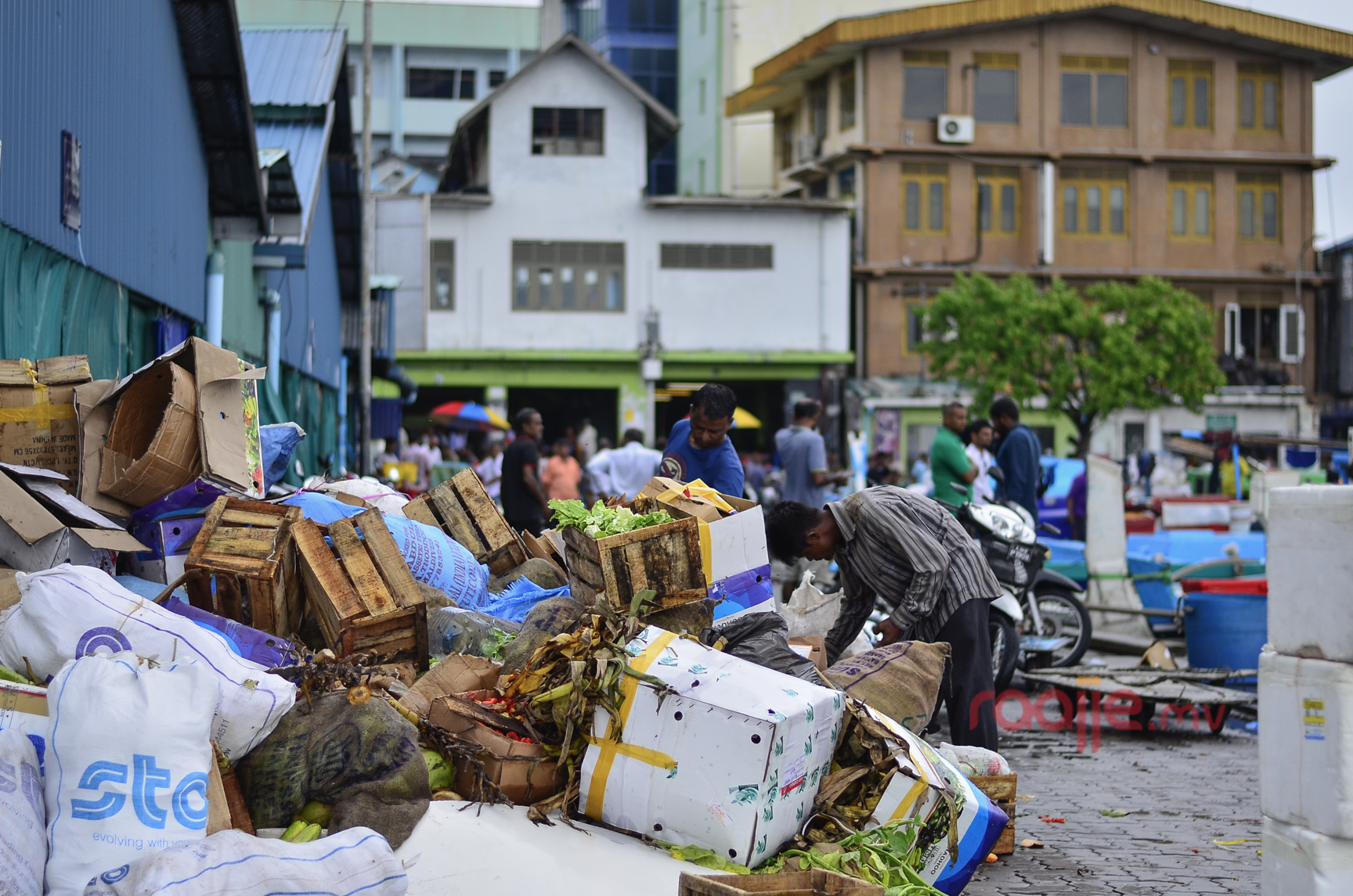 މާލެ ލޯކަލް މާރުކޭޓު ސަރަހައްދު ގައި ވިޔަފާރި ކުރުން 