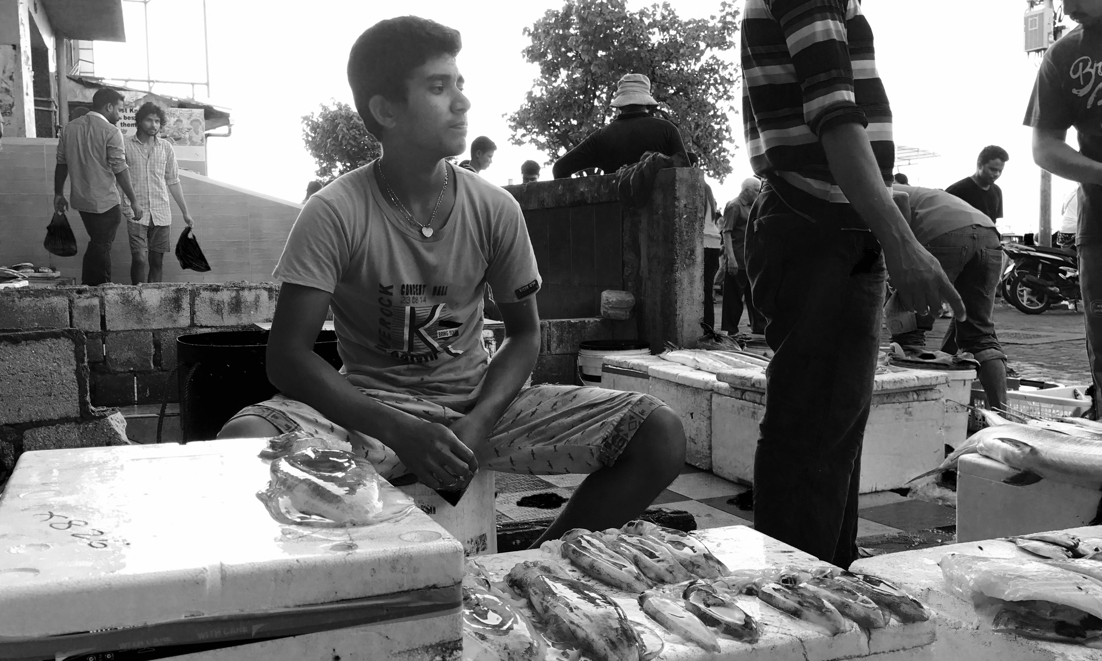 ޖެނުއަރީ 11 2017- މާލެ މަސްވެރިންގެ މާރުކޭޓު ސަރަހައްދުގައި bބިދޭސީއަކު މަސް ވިއްކަނީ.---ފޮޓޯ: މުހައްމަދު ޝަރުހާން/ ރާއްޖެ އެމްވީ