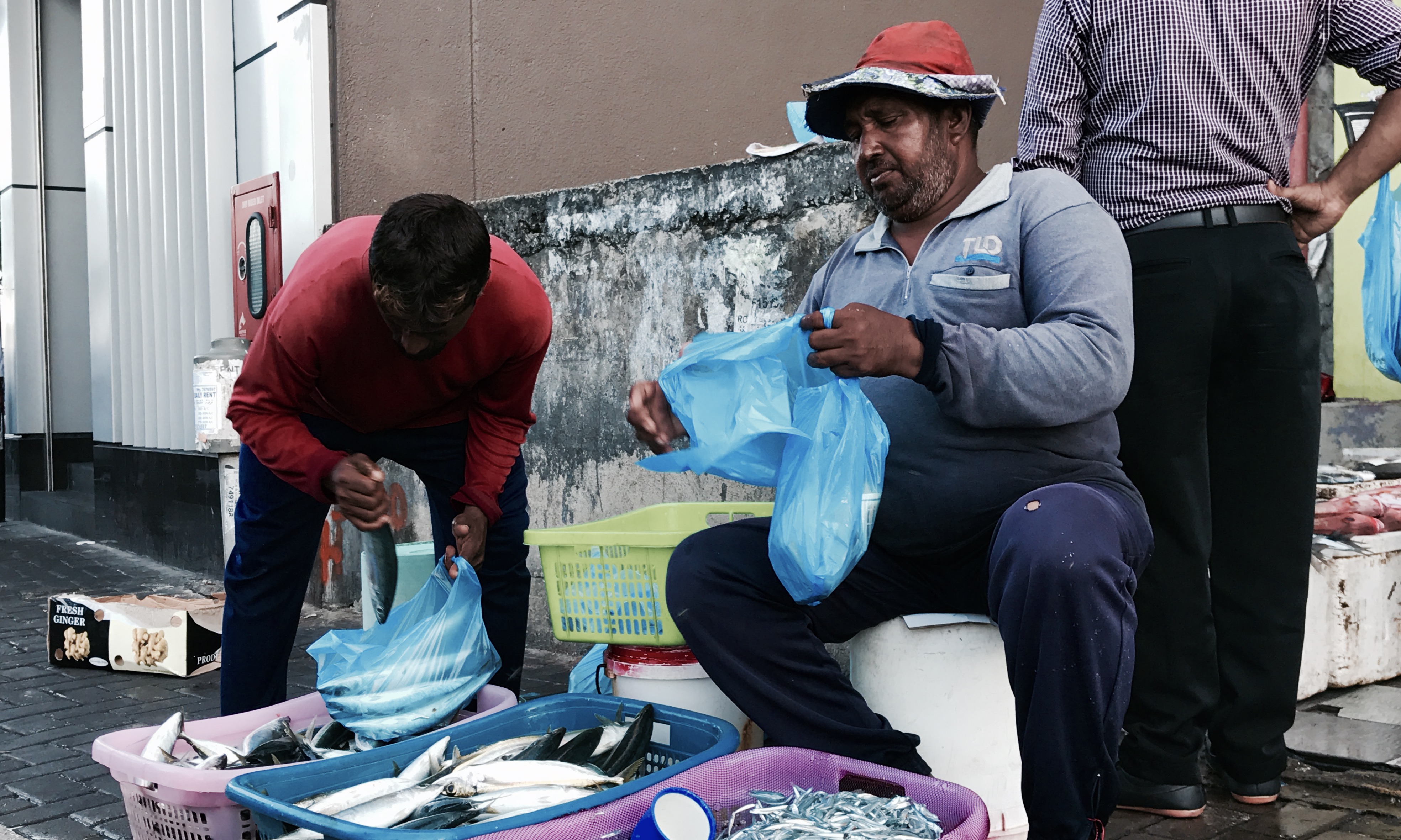 ޖެނުއަރީ 11 2017- މާލެ މަސްވެރިންގެ މާރުކޭޓު ސަރަހައްދުގައި މަސްވެރިއަކު މަސް ވިއްކަނީ.---ފޮޓޯ: މުހައްމަދު ޝަރުހާން/ ރާއްޖެ އެމްވީ