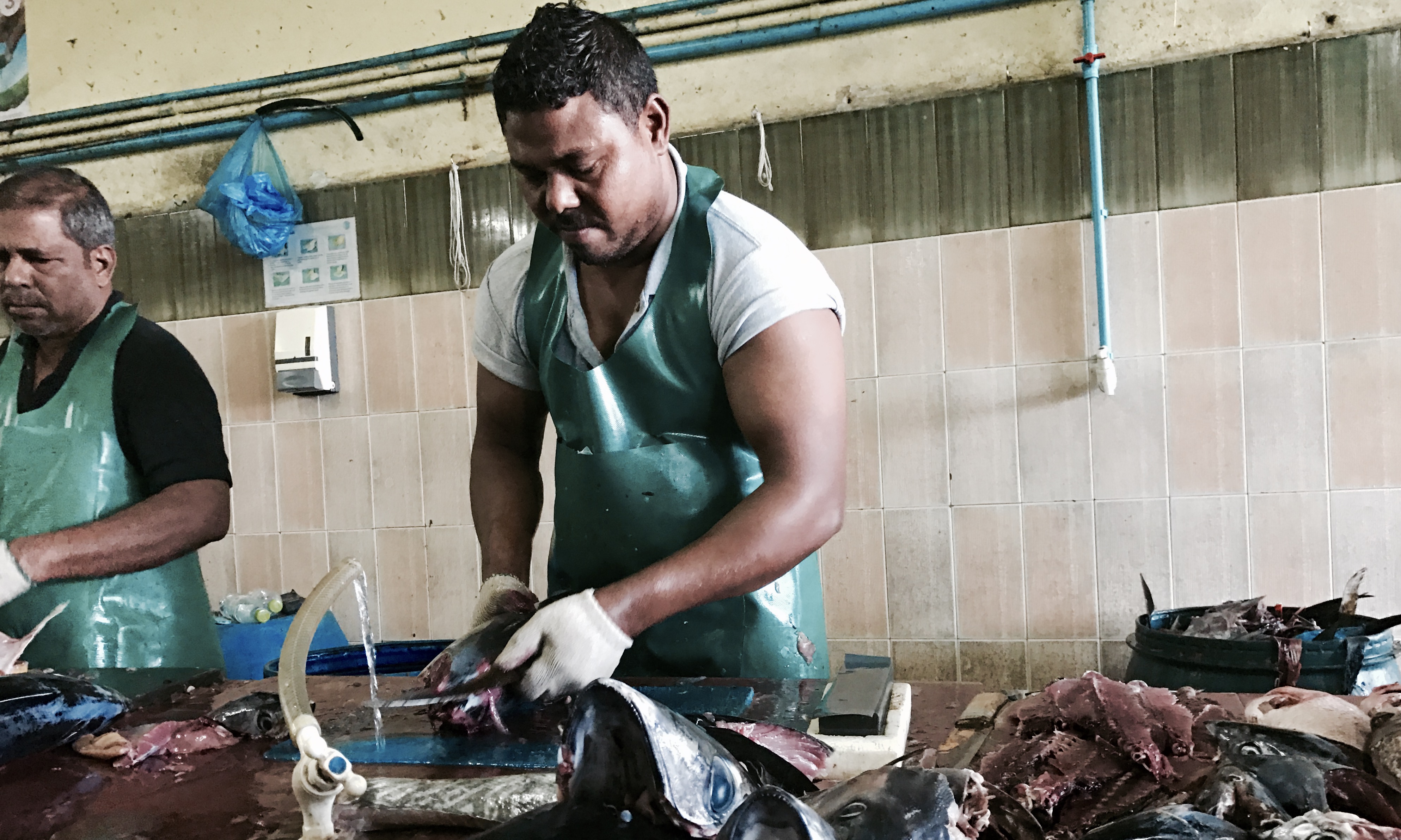 ޖެނުއަރީ 11 2017- މާލެ މަސްވެރިންގެ މާރުކޭޓު ގައި މަސްކަނޑަނީ.---ފޮޓޯ: މުހައްމަދު ޝަރުހާން/ ރާއްޖެ އެމްވީ