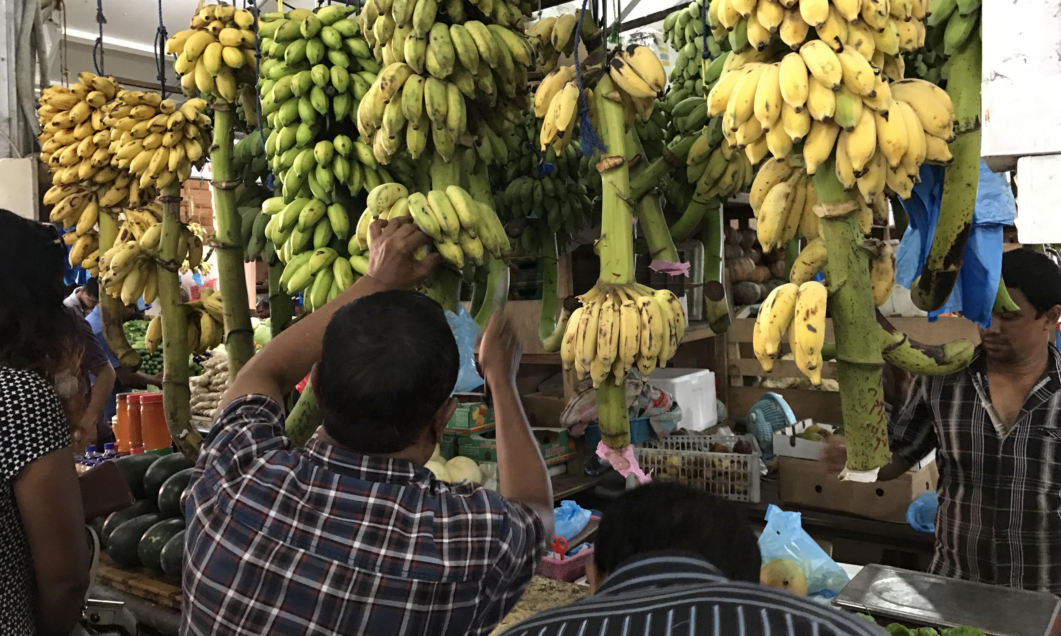 މާލެ: ޖެނުއަރީ 14، 2017: މާލެ ލޯކަލް މާރުކޭޓު ސަރަހައްދުގައި ވިޔަފާރި ކުރުން.-- ފޮޓޯ: މުހައްމަދު ޝާރުހާން/ ރާއްޖެ އެމްވީ