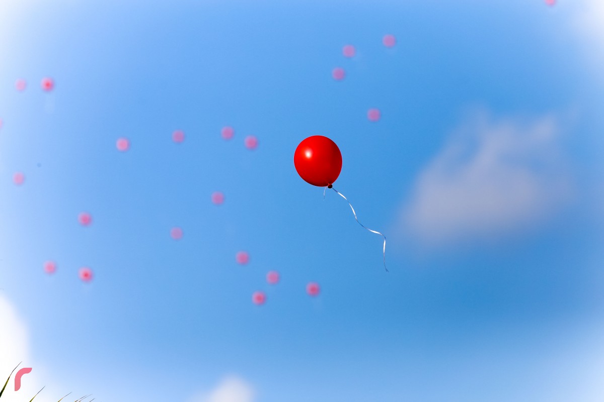 އާޓިފިޝަލް ބީޗްގައި ހަވީރު ބޭއްވި ހަރަކާތުގައި ނޫސްވެރިންނާއި އެހެންބައެއް ފަރާތްތަކާއިއެކު ބައިވެރިވެ ޔާމީން ރަޝީދަށް އިންސާފު ހޯދައި ދިނުމަށް ގޮވާލައި ރަތްކުލައިގެ ފުއްޕާހަން ވައިގެ ތެރެއަށް ވަނީ ދޫކޮށްލަނީ