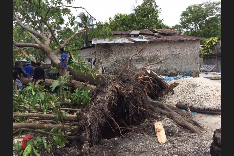 ހިތަދޫ ބޮޑު މަގުގައި ހުންނަ ހެޕީޒޯން ފިހާރަ ކުރިމައްޗަށް ވާގޮތަށް އޮންނަ މަގުގައި ހުރި ބޮޑު ބިޔަ ތިން ގަސް ވެއްޓުނު ނަމަވެސް، މިހަދިސާގައި އެއްވެސް މީހަކަށް ގެއްލުން ލިބިފައެއް ނުވޭ