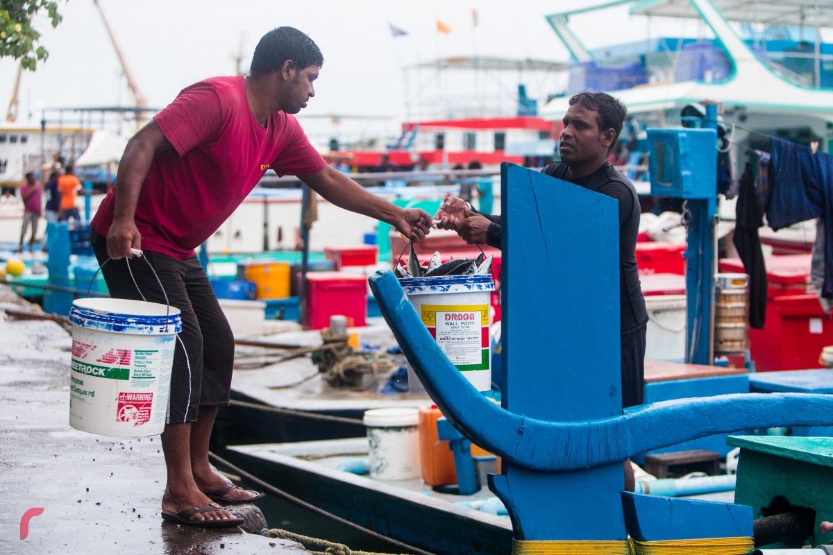 މަސްމާރުކޭޓު ސަރަހައްދުގައި ދޯންޏަކުން މަސްބާލައިގެން ގެންދަނީ ، ކޮންމެ އަހަރަކުވެސް ރޯދަމަހާއި ދިމާކޮށް ތަކެތީގެ އަގު އަތްނުފޯރާ ފަށައް އަރައިގެންދޭ