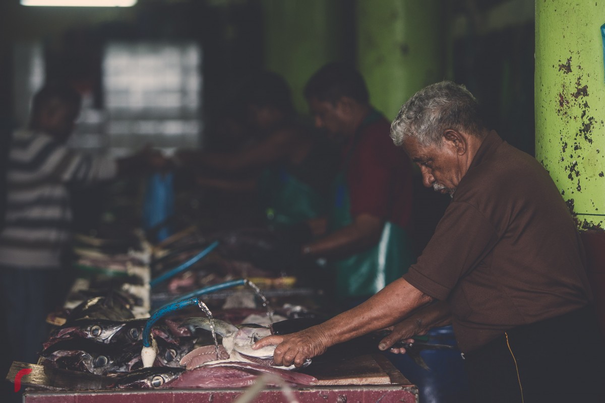 މާލޭ މަސްމާރުކޭޓުގައި މީހަކު މަސްކަނޑަނީ. ކޮންމެ އަހަރަކުވެސް ރޯދަމަސް ފެށުމާއިއެކު ތަކެތީގެ އަގު ބޮޑުވެ އާމްމުންގެ ޝަކުވާތައް ގިނަވޭ