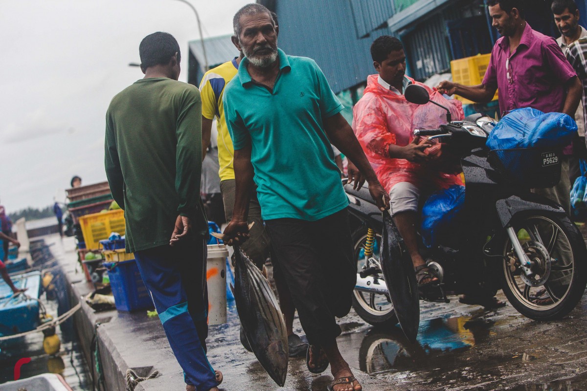 މަސްމާރުކޭޓު ސަރަހައްދުގައި ދޯންޏަކުން މަސްބާލައިގެން ގެންދަނީ ، ކޮންމެ އަހަރަކުވެސް ރޯދަމަހާ ދިމާކޮށް ތަކެތީގެ އަގު އަތްނުފޯރާ ފަށައް އަރައިގެންދޭ