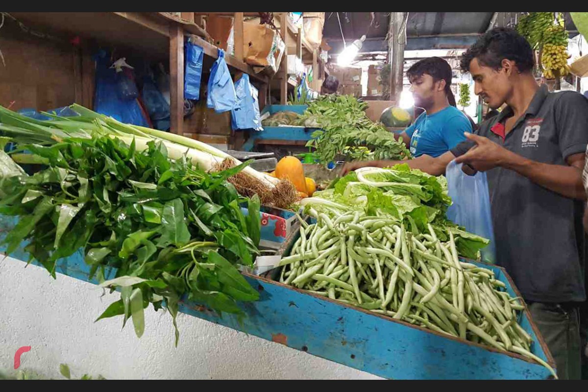 ބަޔަކު ލޯކަލް މާރުކޭޓުގައި މީހަކު ތަރުކާރީ ގަންނަނީ. ކޮންމެއަހަރަކުވެސް ރޯދަ މަހަށް ތަކެތީގެ އަގު ބޮޑުވޭ