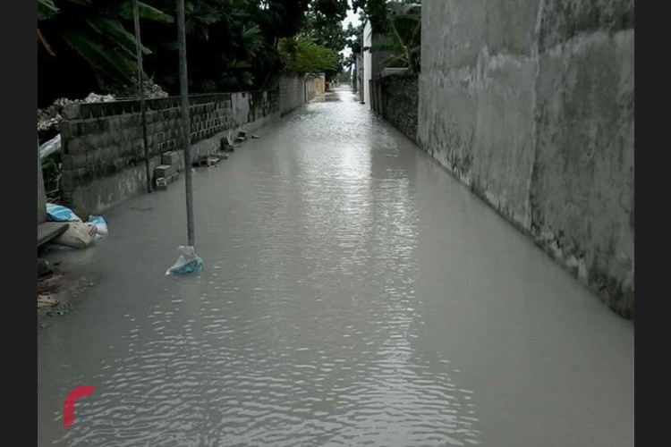 ރާއްޖޭގެ އެކި ހިސާބުތަކަށް ކުރަމުންދާ ވިއްސާރާގައި ހަނިމާދޫއަށް ބޯކޮށް ވާރޭވެހި ހޮނުއަޅައި ދިރާގުގެ އެންޓަނާއަށް ބޮޑެތި ގެއްލުންތަކެއްވަނީ ވެފައެވެ