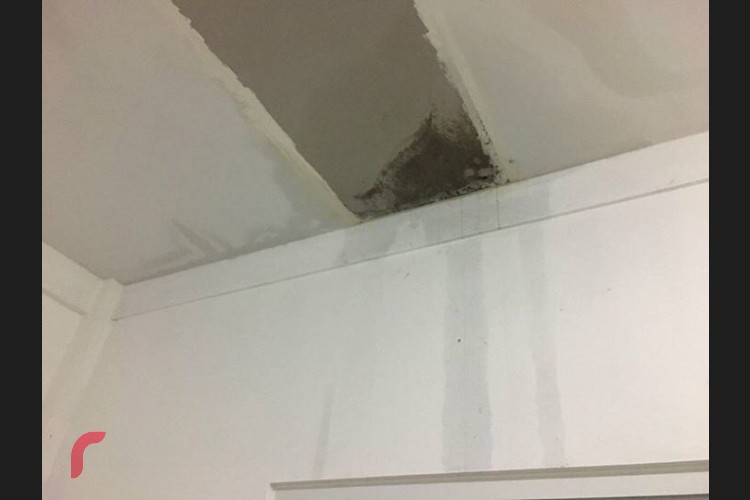 މިހާރު ރާއްޖޭގެ އެކި ހިސާބުތަކަށް ކުރަމުންދާ ވިއްސާރާގައި ހަނިމާދޫއަށް ބޯކޮށް ވާރޭވެހި 32 ގެއަކަށް ވަނީ އެކިވަރުގެ ގެއްލުންވެފައެވެ